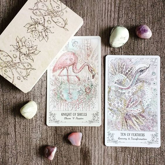 0be163e242894ff8408e7ee369e53e29